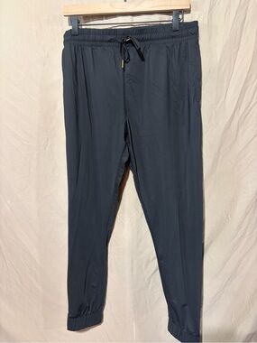 Zyia joggers